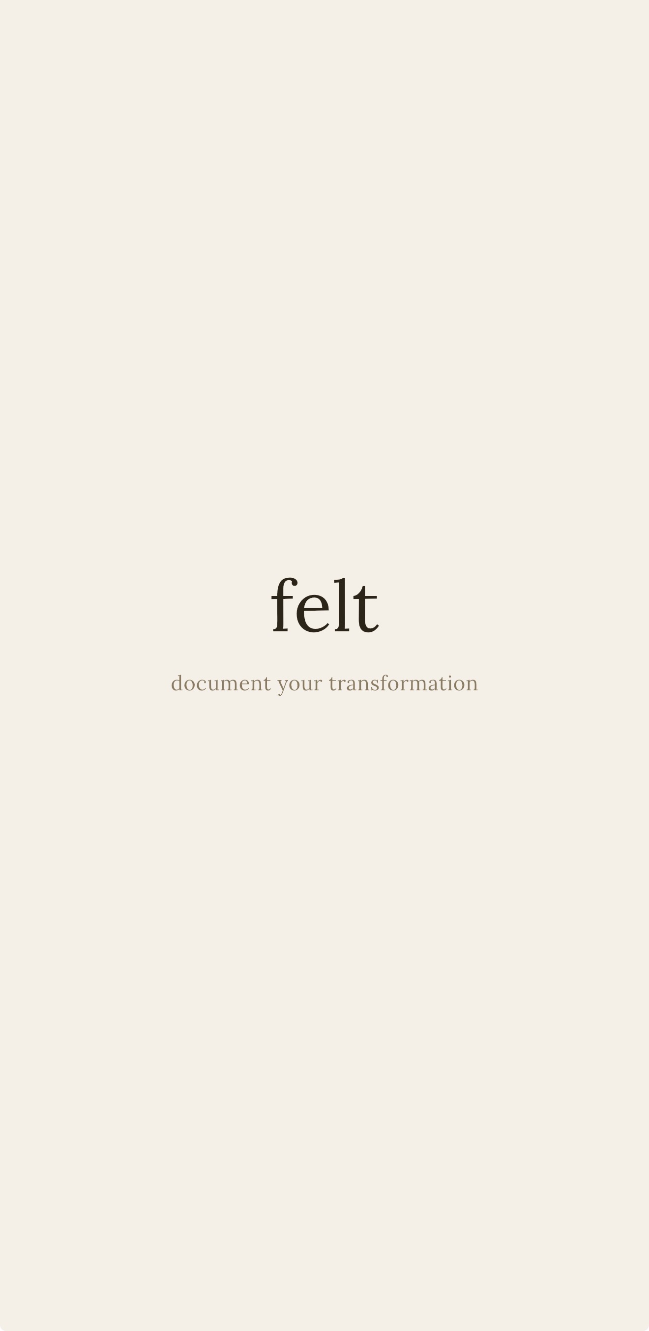 Felt launch screen